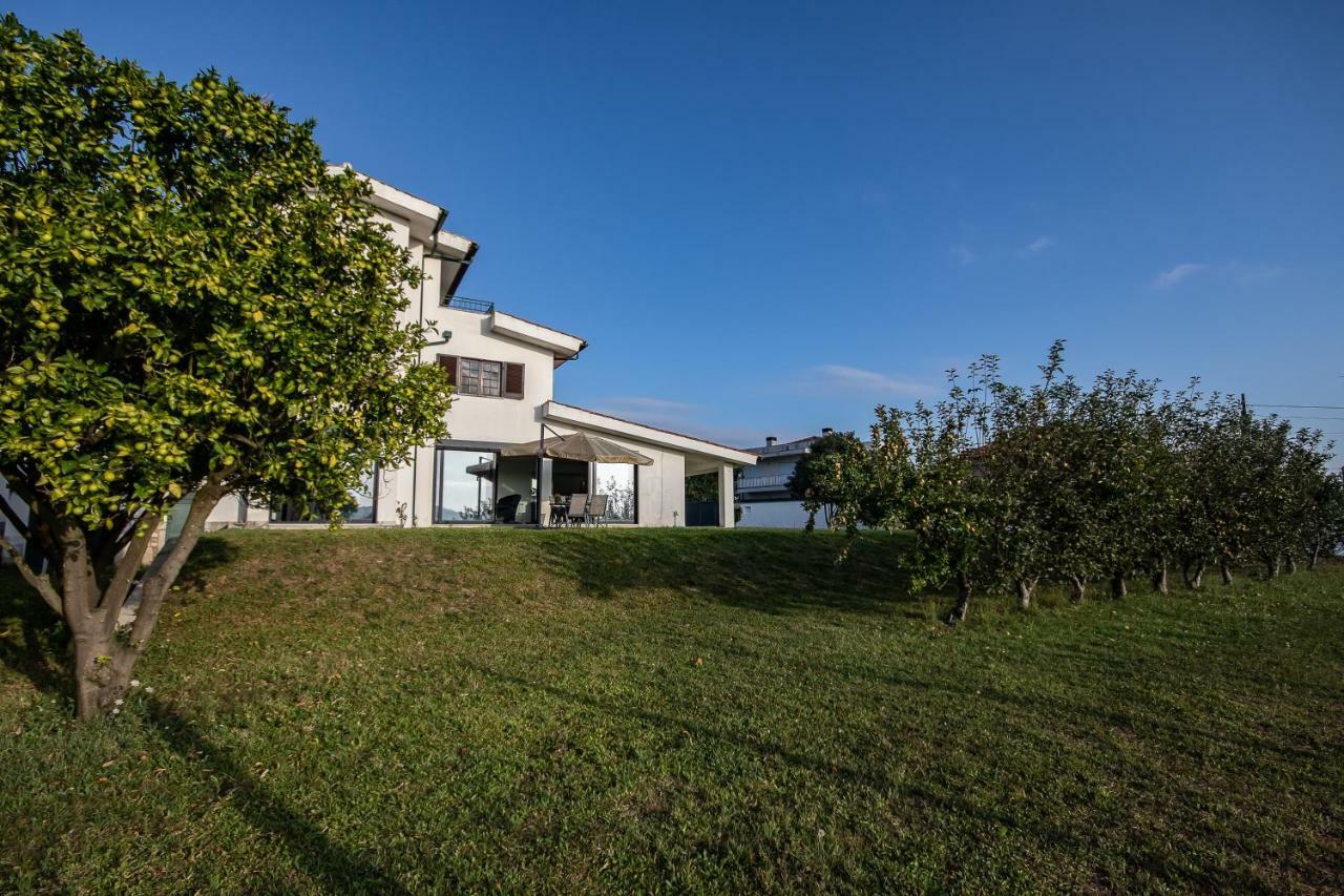 Viana Do Castelo Home Экстерьер фото
